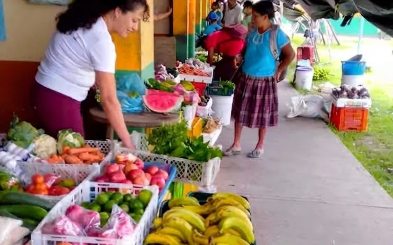 Bunter Obst- und Gemüsemarkt in Punta Gorda mit einer Maya-Frau in traditioneller Tracht
