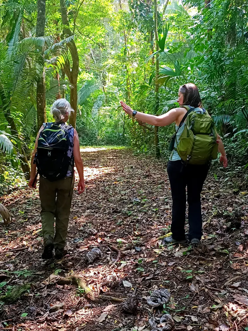 Zwei Wanderinnen mit Rucksäcken auf einem Pfad durch den Regenwald