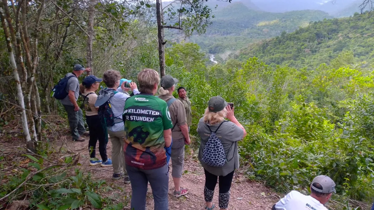 Gruppe mit Guide beim Vogelbeobachten an einem Aussichtspunkt über dem Regenwald